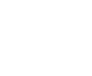 Evolution games at Lucky Fox Casino